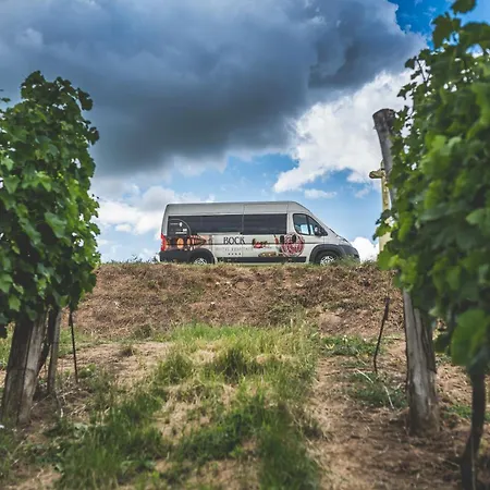 Bock Ermitage Villány