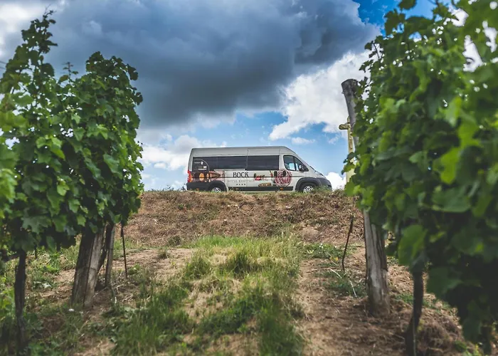 博克艾尔米塔什酒店 维拉尼