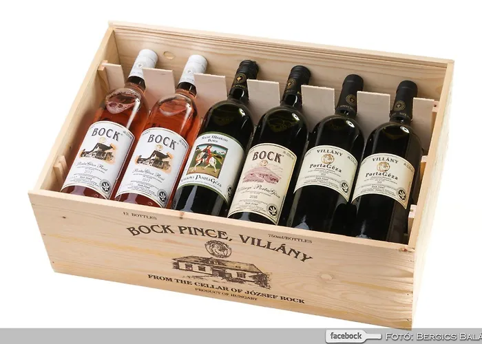 מלון Bock Ermitage