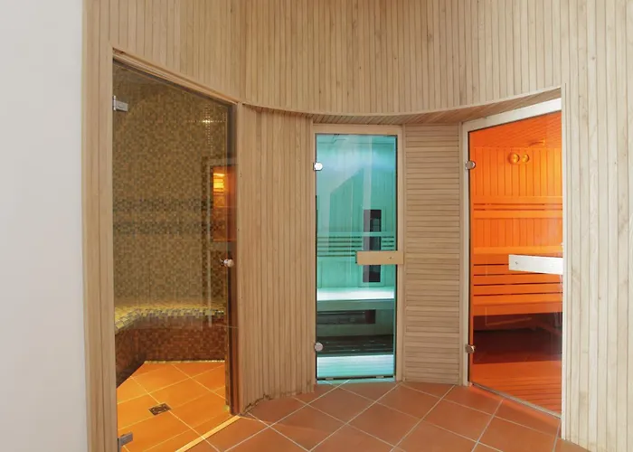 博克艾尔米塔什酒店 4* 维拉尼