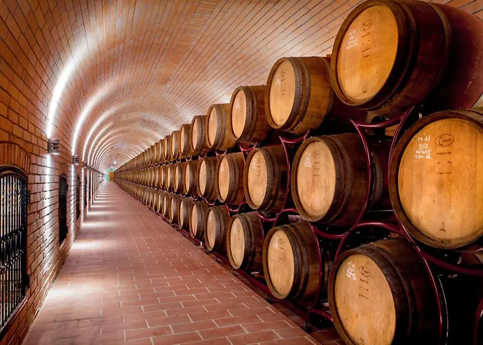 博克艾尔米塔什酒店 酒店 4*